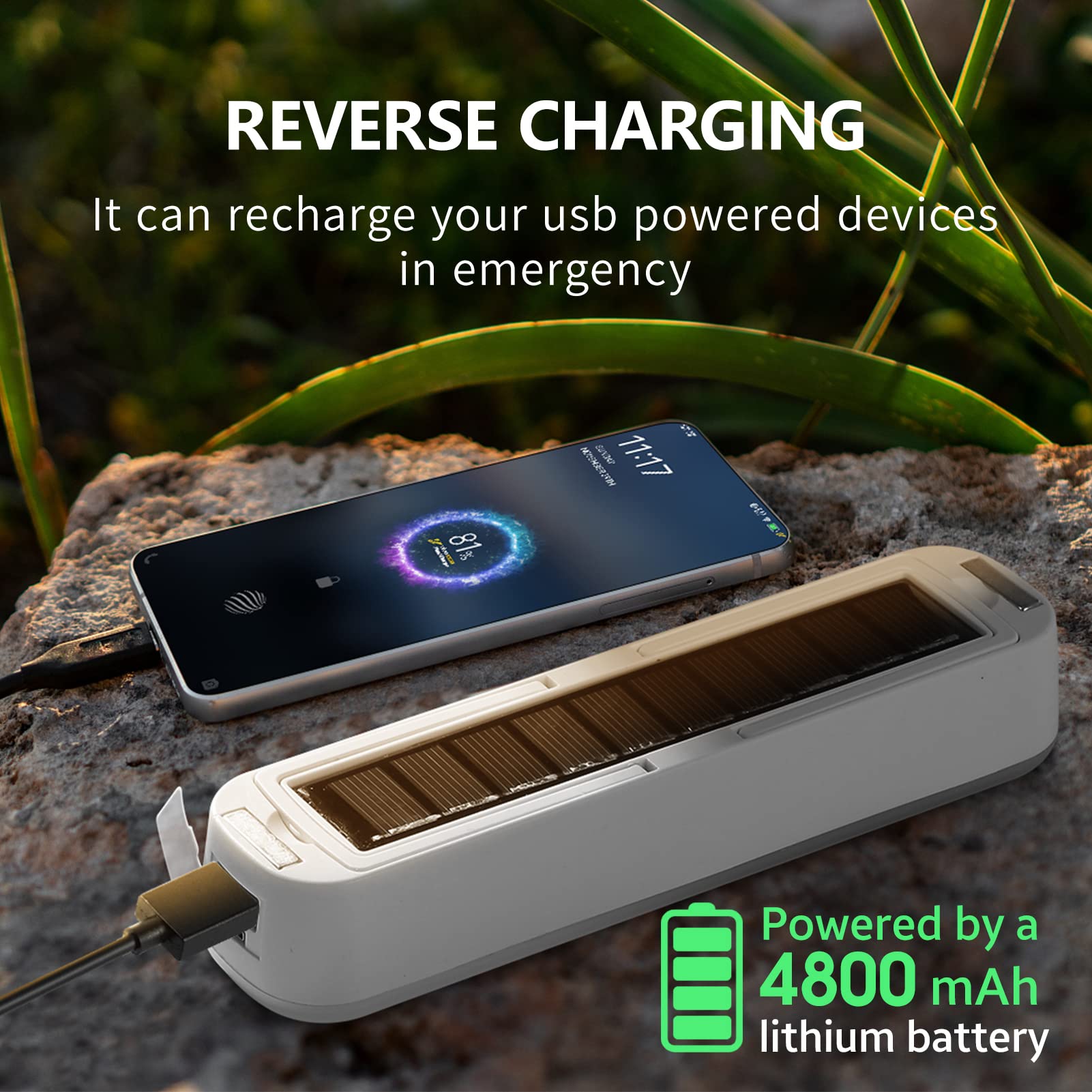 Solar Rechargeable Camping Lan - Renewable Energy Sources review and price