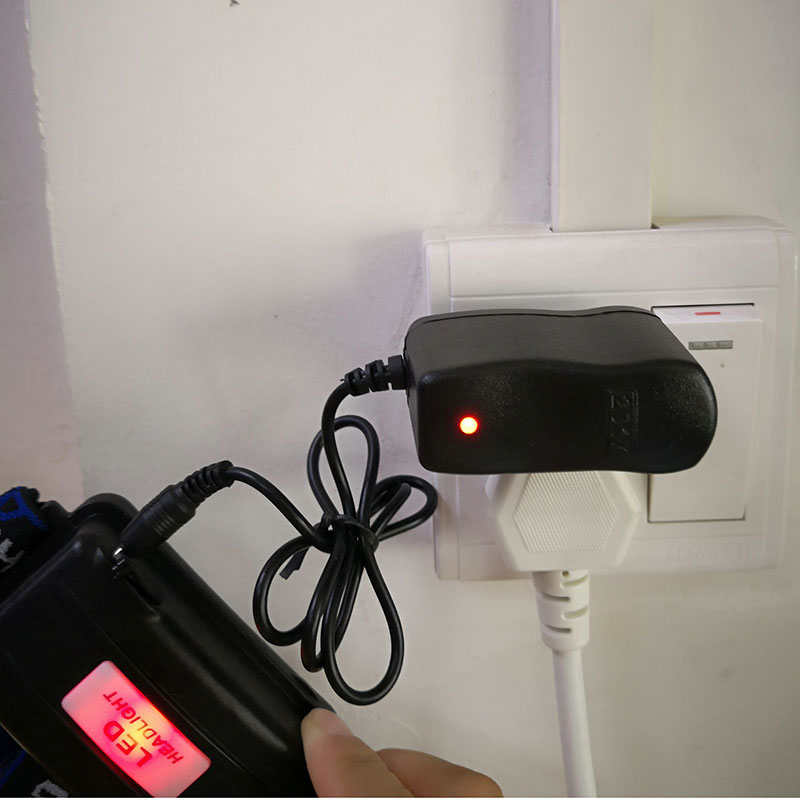 AC to DC 4.2V 0.5A 500ma 3.7V  - Renewable Energy Sources review and price